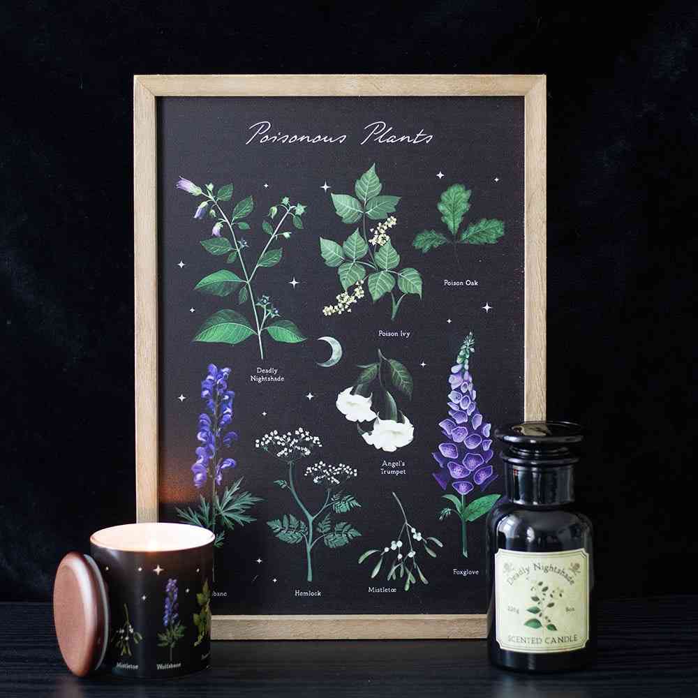 Something Different - Poisonous Plants Gerahmter Druck - Mehrfarben